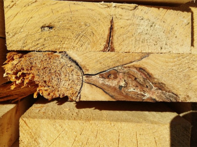 порок древесины